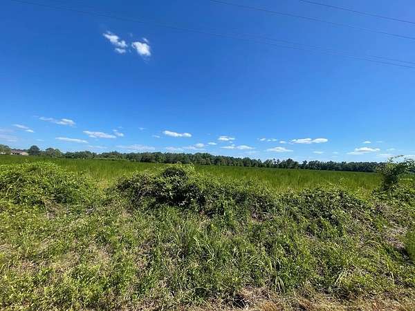 1 Acre of Land for Sale in Sumter, South Carolina