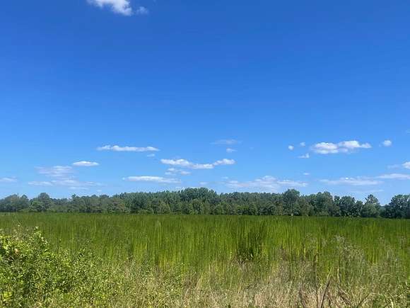 1 Acre of Land for Sale in Sumter, South Carolina