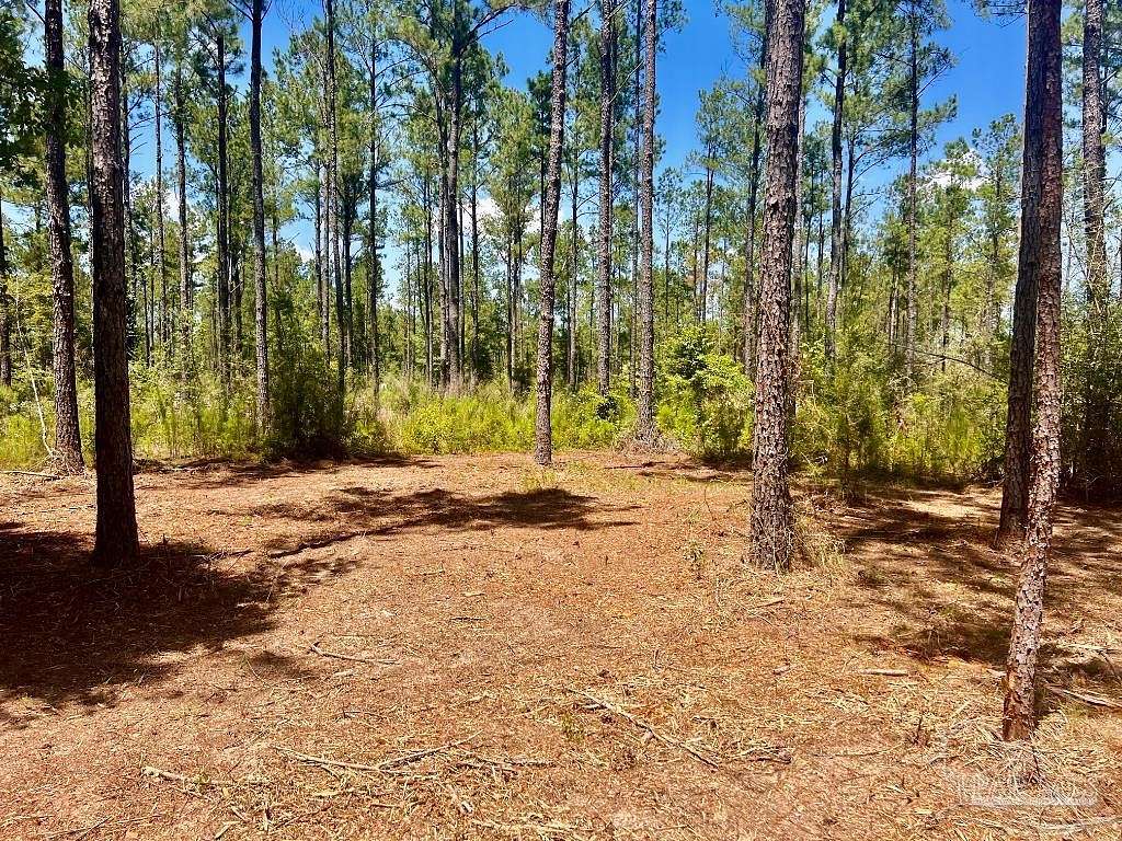 5.17 Acres of Residential Land for Sale in Pace, Florida