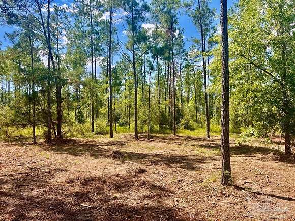 15 Acres of Recreational Land for Sale in Pace, Florida