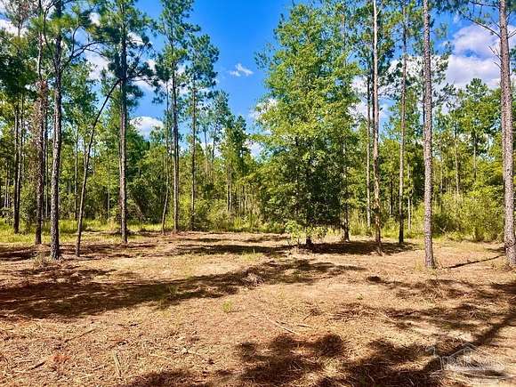 15 Acres of Recreational Land for Sale in Pace, Florida