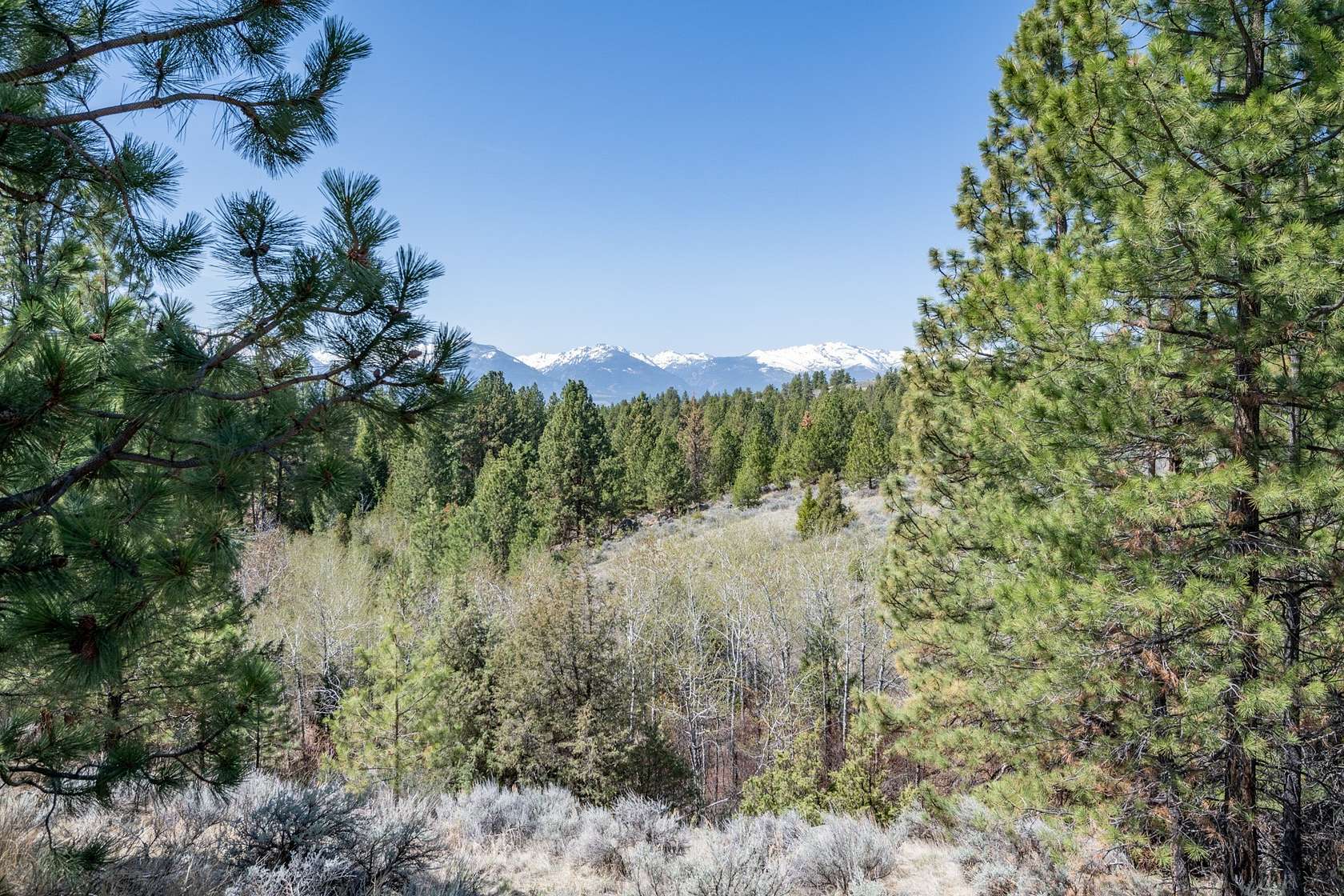 20 Acres of Recreational Land for Sale in Corvallis, Montana