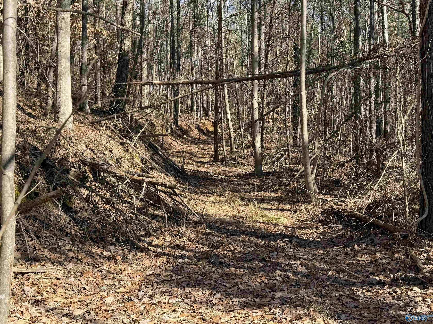 13.3 Acres of Recreational Land for Sale in Town Creek, Alabama