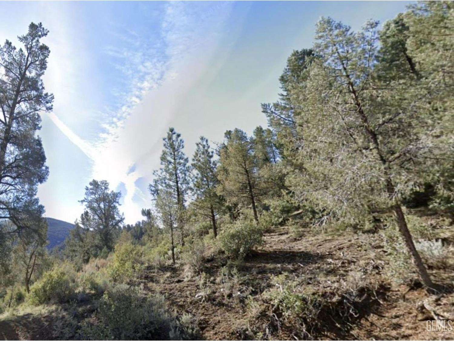 0.13 Acres of Residential Land for Sale in Frazier Park, California