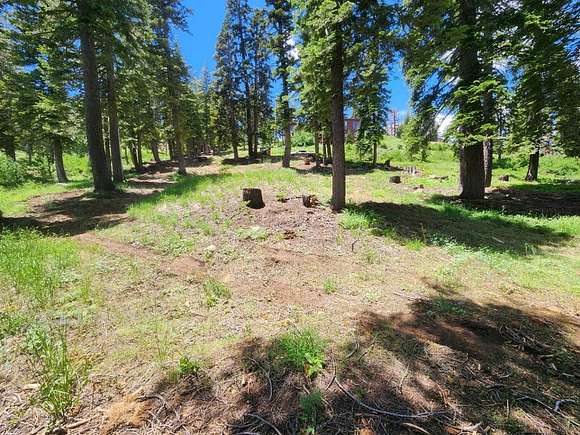 0.49 Acres of Residential Land for Sale in Bear Valley, California