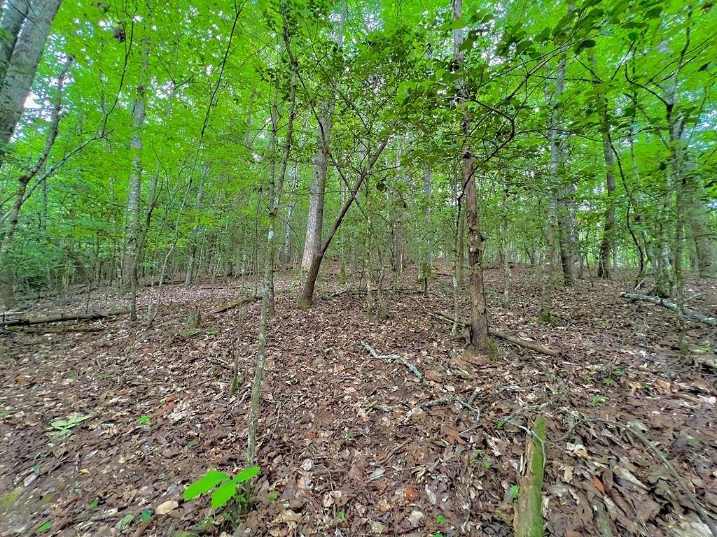 1 Acres of Land for Sale in Blairsville, Georgia