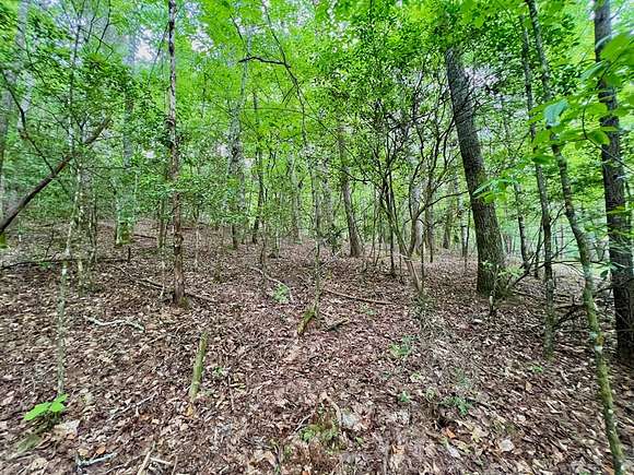 1 Acres of Land for Sale in Blairsville, Georgia - LandSearch