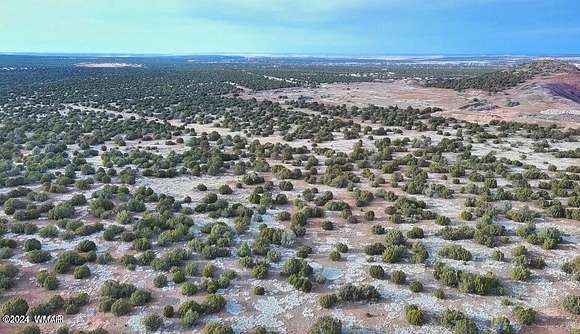 53.15 Acres of Land for Sale in Show Low, Arizona