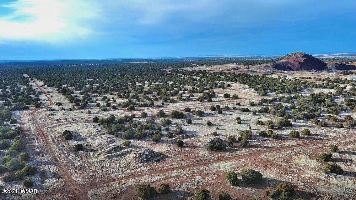 185 Acres of Land for Sale in Show Low, Arizona