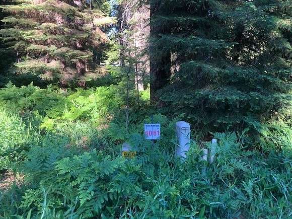 0.22 Acres of Residential Land for Sale in McCloud, California