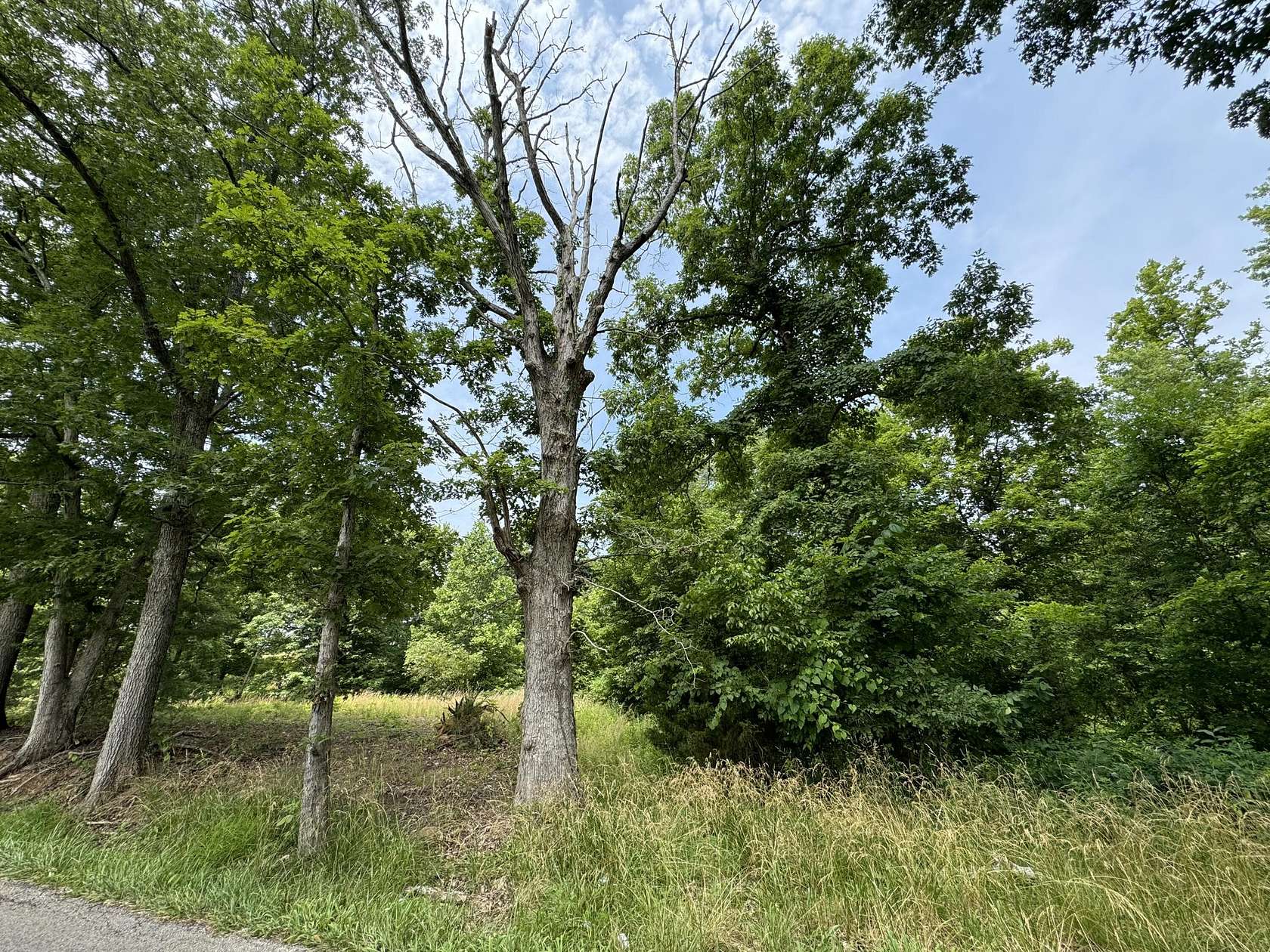 1.01 Acres of Residential Land for Sale in Irvine, Kentucky