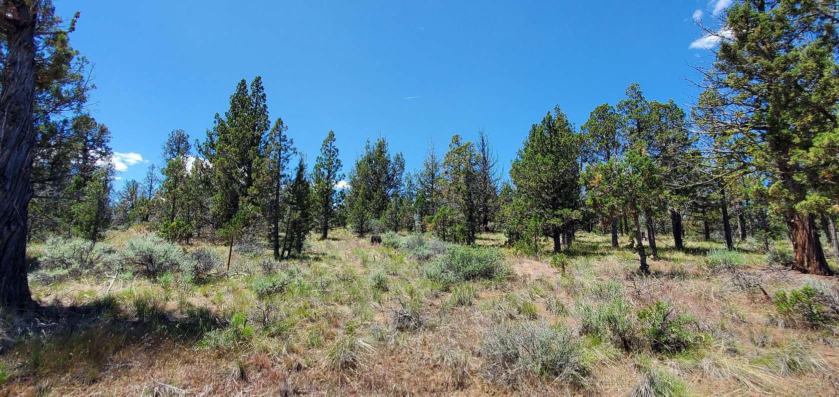 1.8 Acres of Residential Land for Sale in Prineville, Oregon