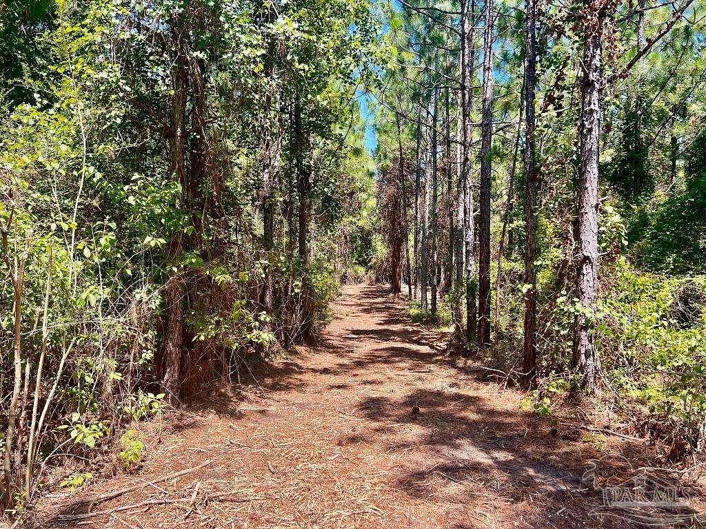 5.91 Acres of Residential Land for Sale in Pace, Florida