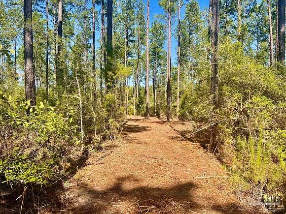 5.03 Acres of Residential Land for Sale in Pace, Florida