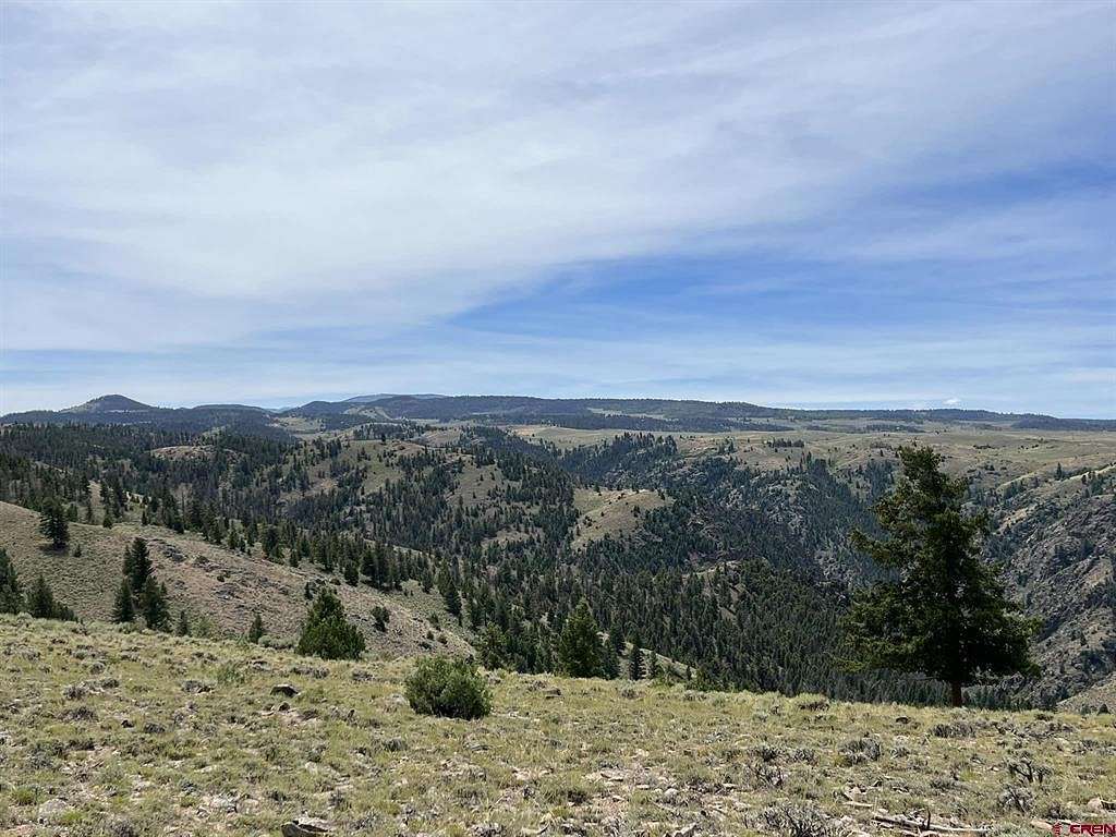 9 Acres of Residential Land for Sale in Powderhorn, Colorado