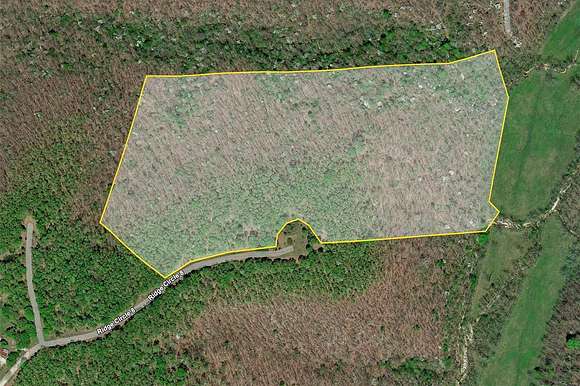 29.04 Acres of Land for Sale in Tunas, Missouri