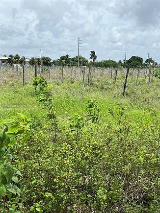 0.5 Acres of Residential Land for Sale in Homestead, Florida