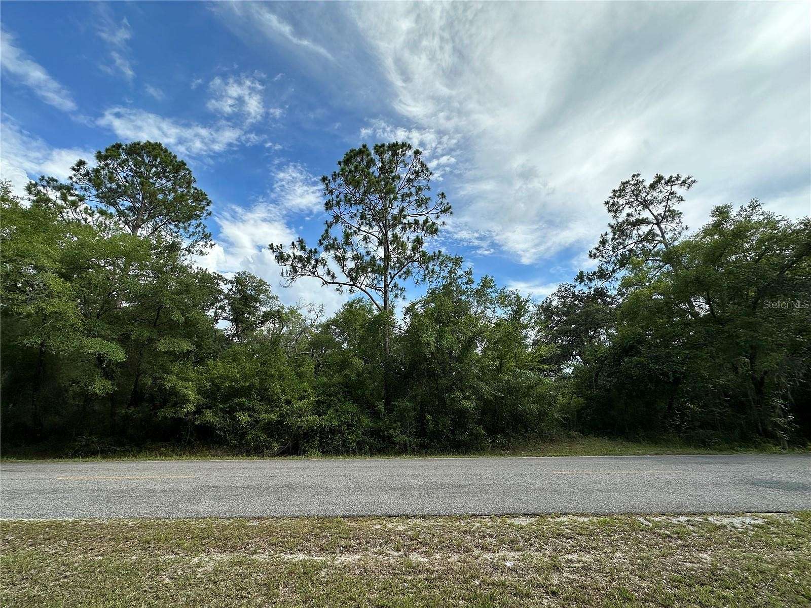 6.05 Acres of Residential Land for Sale in Fort McCoy, Florida