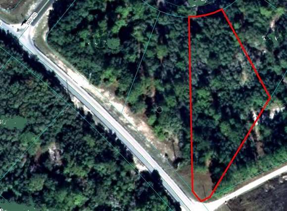 1.24 Acres of Residential Land for Sale in Ocklawaha, Florida