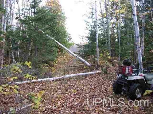 40 Acres of Recreational Land & Farm for Sale in Copper Harbor, Michigan