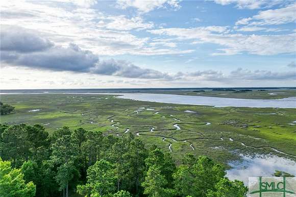 0.677 Acres of Residential Land for Sale in Townsend, Georgia