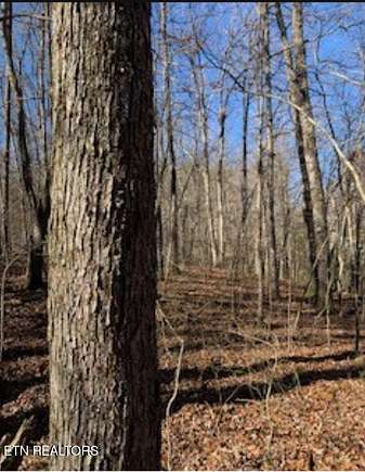 4.2 Acres of Residential Land for Sale in Monterey, Tennessee