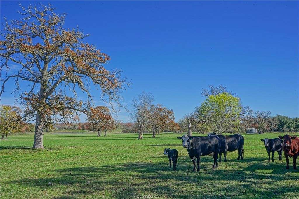 27.1 Acres of Recreational Land with Home for Sale in College Station, Texas