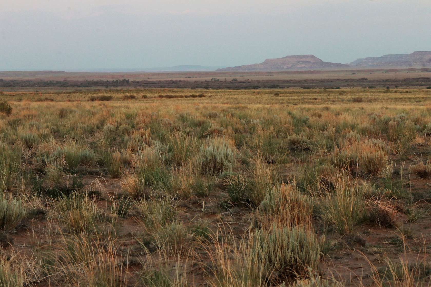 1.25 Acres of Land for Sale in Sun Valley, Arizona