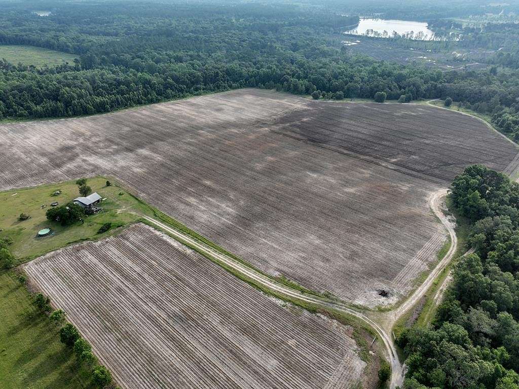 123.01 Acres of Land for Sale in Hahira, Georgia