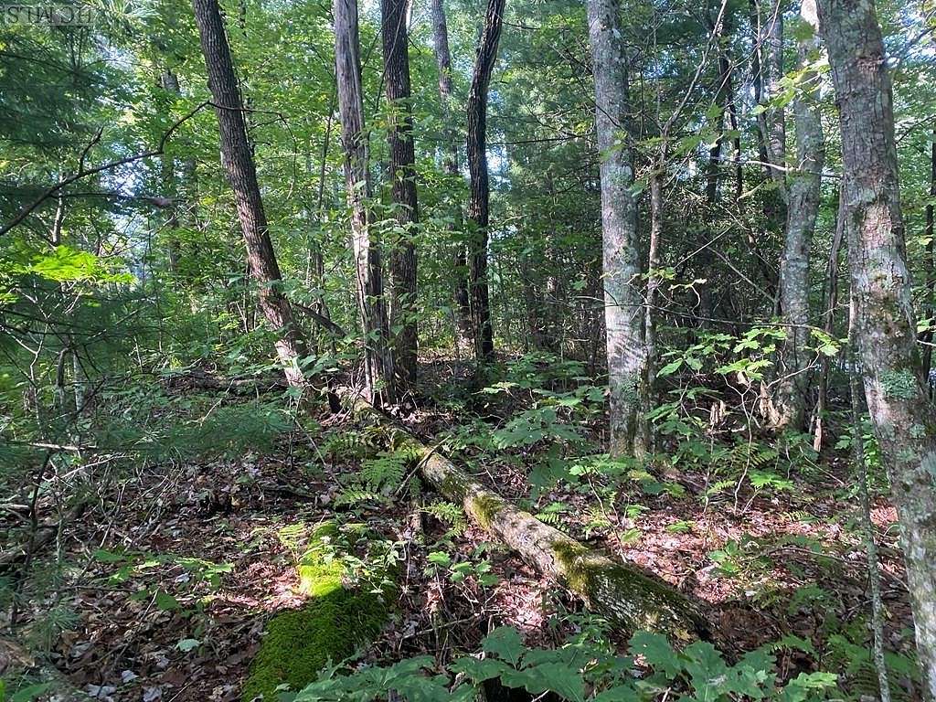 4.86 Acres of Residential Land for Sale in Sapphire, North Carolina