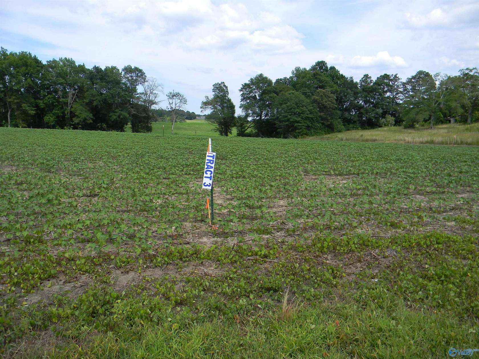 0.86 Acres of Residential Land for Sale in Centre, Alabama