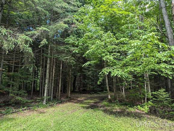 5.5 Acres of Residential Land for Sale in Bruce Crossing, Michigan
