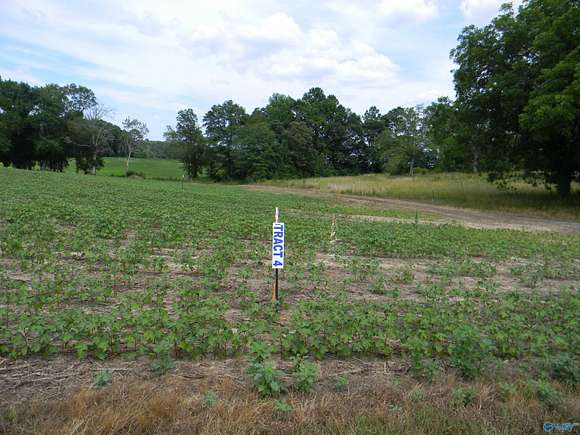 0.85 Acres of Residential Land for Sale in Centre, Alabama