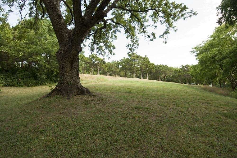 0.681 Acres of Residential Land for Sale in Dallas, Texas