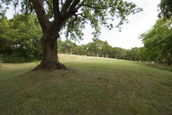0.681 Acres of Residential Land for Sale in Dallas, Texas