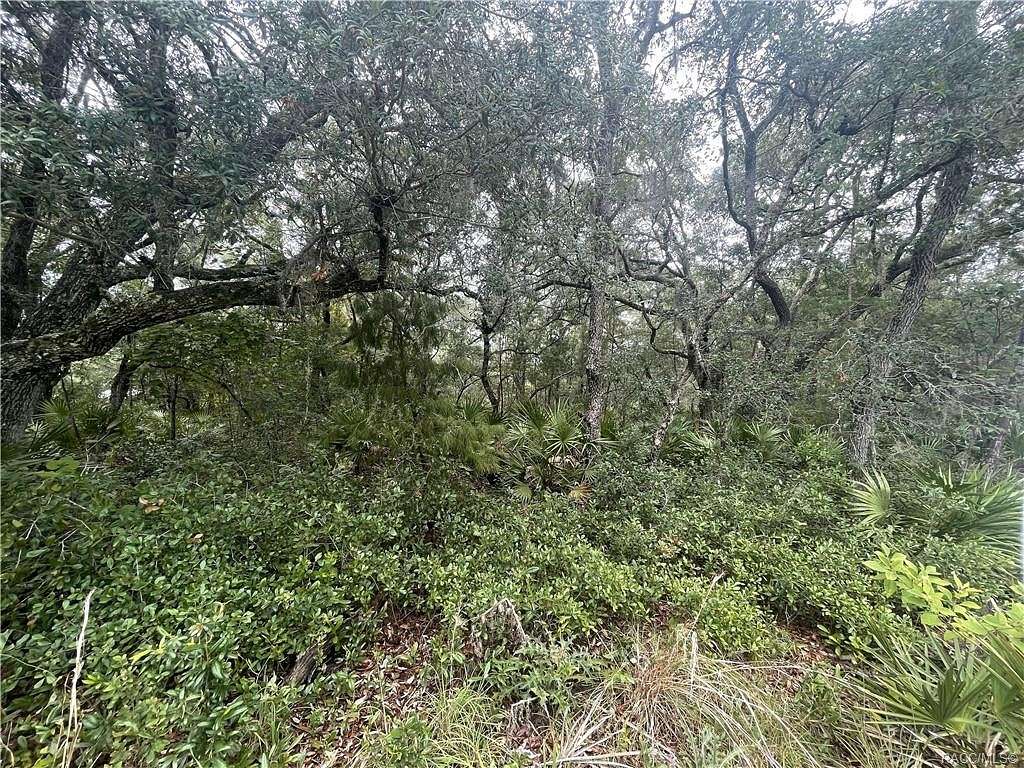 0.5 Acres of Residential Land for Sale in Fort McCoy, Florida