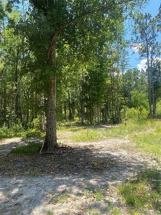 1.38 Acres of Residential Land for Sale in Lutz, Florida