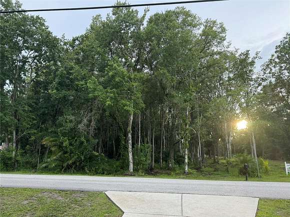 1.38 Acres of Residential Land for Sale in Lutz, Florida