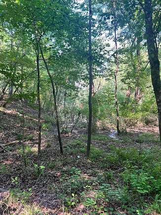 Residential Land for Sale in Double Springs, Alabama