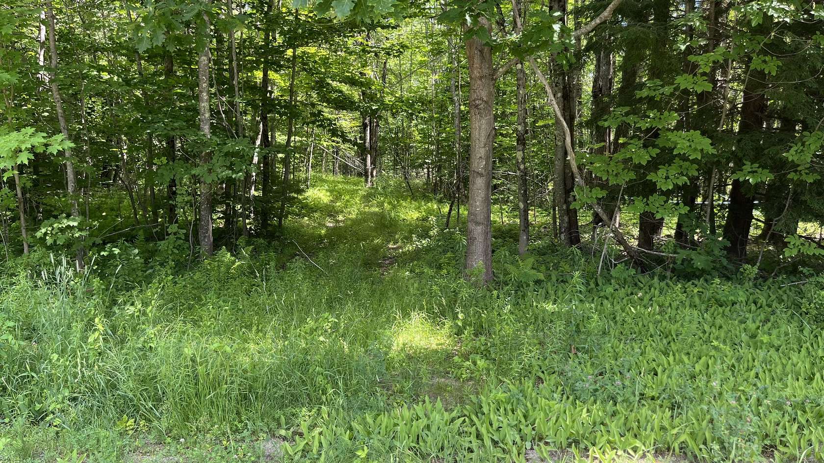 1 Acres of Residential Land for Sale in Litchfield Town, Maine