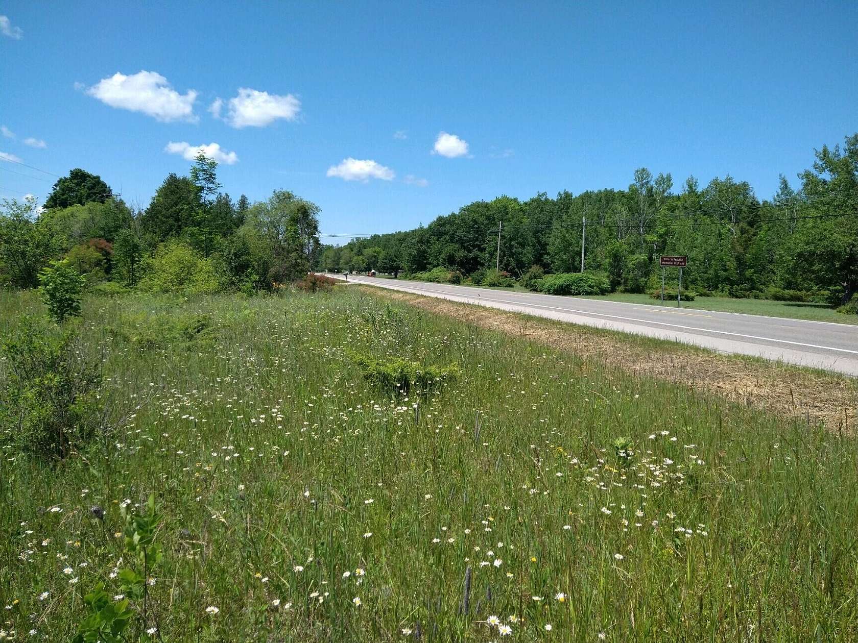 Land for Sale in Presque Isle, Michigan