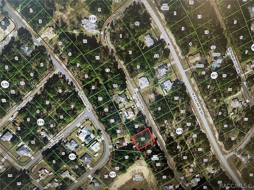 0.29 Acres of Land for Sale in Citrus Springs, Florida