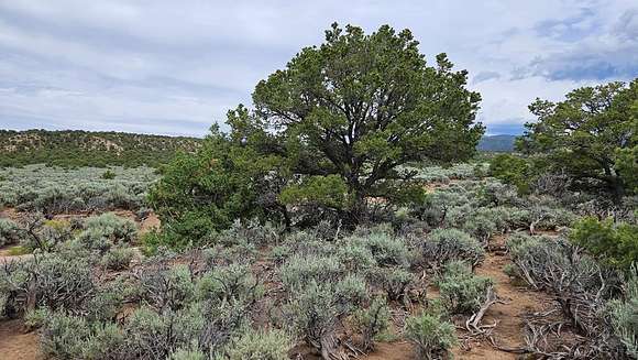 5.03 Acres of Land for Sale in Fort Garland, Colorado