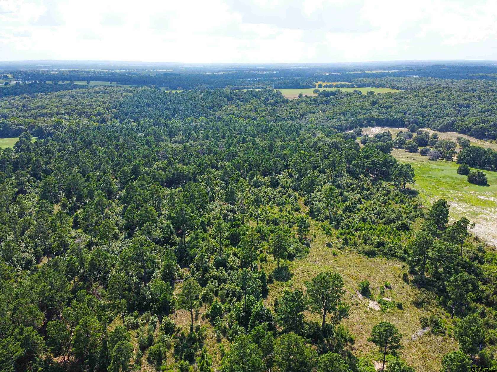 87.8 Acres of Recreational Land for Sale in Ben Wheeler, Texas
