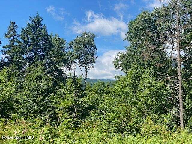 81.68 Acres of Land for Sale in Chester Town, New York