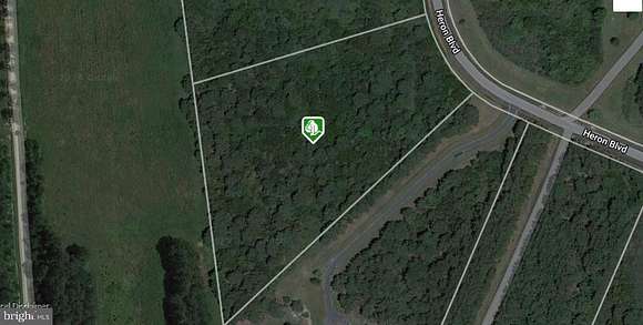 4.4 Acres of Residential Land for Sale in Cambridge, Maryland