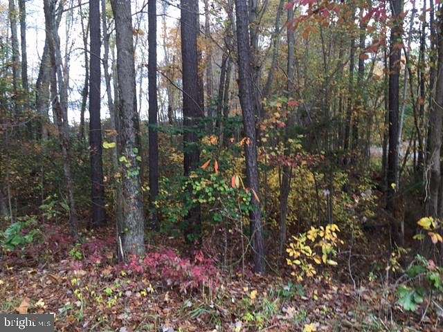Residential Land for Sale in Ruther Glen, Virginia