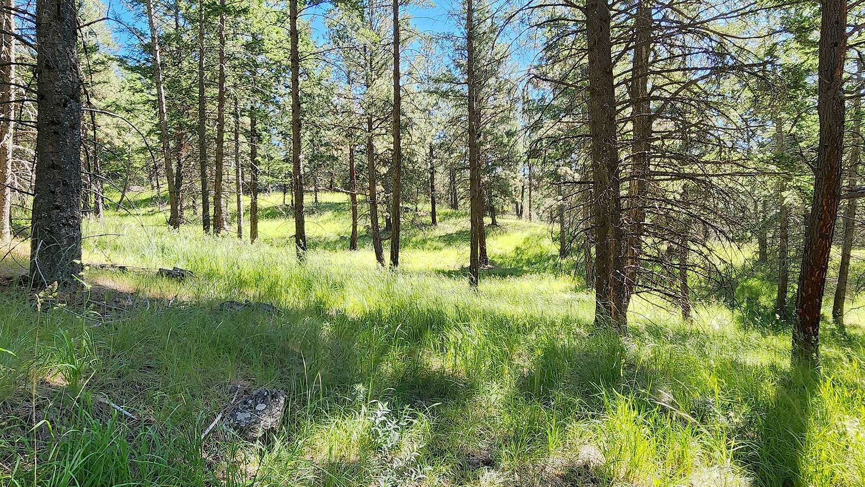 7.77 Acres of Residential Land for Sale in Bigfork, Montana