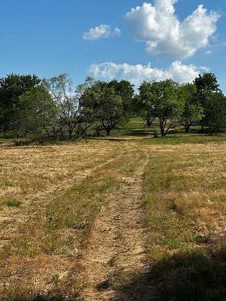 52.216 Acres of Agricultural Land for Sale in Bells, Texas