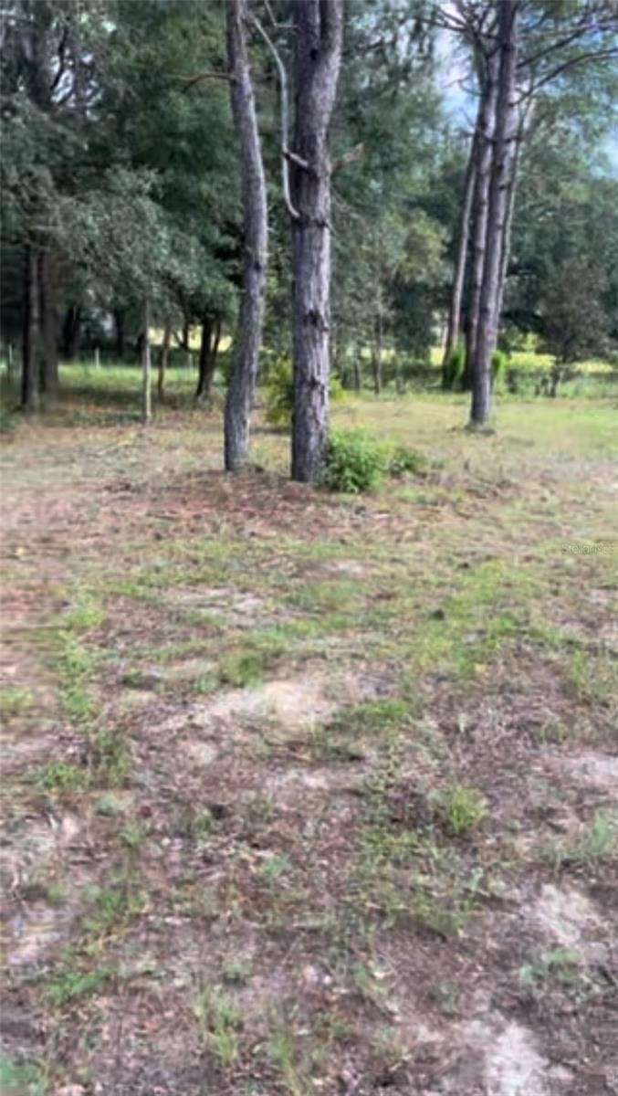 1.25 Acres of Residential Land for Sale in Morriston, Florida